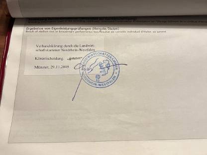 Bild 9:Grand Prix siegreicher Dressurhengst - Deckanzeige