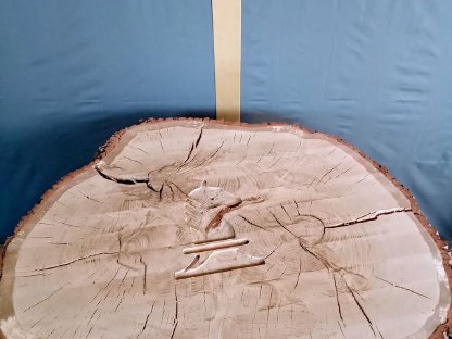 Bild 6:Eichen-Tisch-Platte