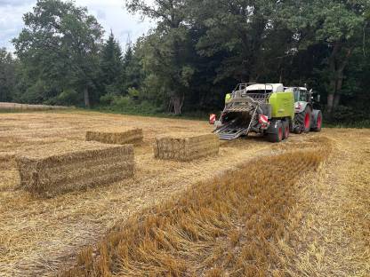 Bild 5:Stroh in Quaderballen, Ernte 2025