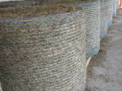 Bild 3:Rundballen und Kleinballen mit Warmluft belüftet