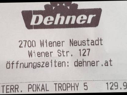 Bild 9:XXL Olivenbaum Olea Europaea – Für unvergleichliches Flair