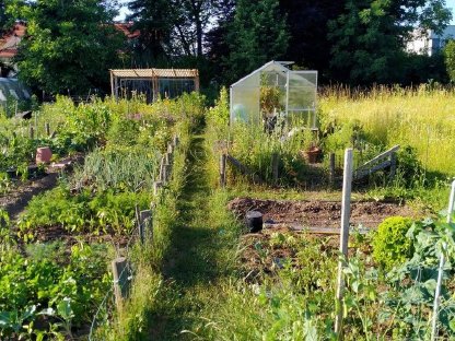 Bild 4:Acker/Wiese für Gartenflächen (Klagenfurt u. Umgebung)