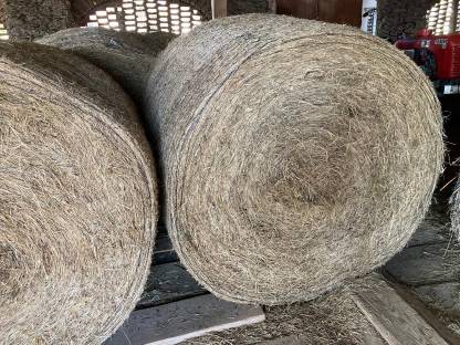 Bild 3:BIO Heu Rundballen und Eckballen