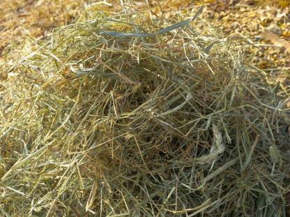 Bild 2:Bio Heuballen