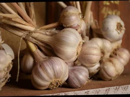 Knoblauch € 9,-/kg