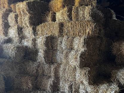 Bild 5:Mini Strohballen