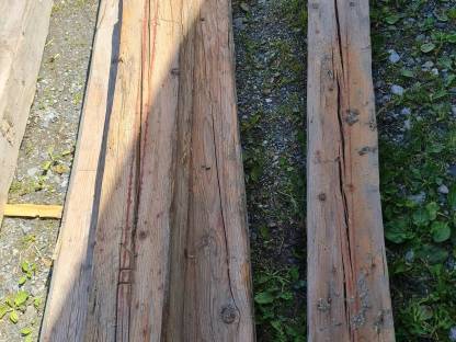 Bild 9:Gehackte Trame, Altholz