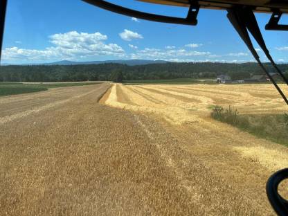 Bild 2:Stroh Kleinballen