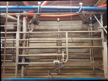 Bild 2:Melkstand Alfa Laval