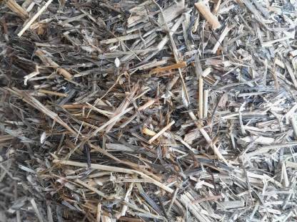 Bild 3:Silomais und Grassilage