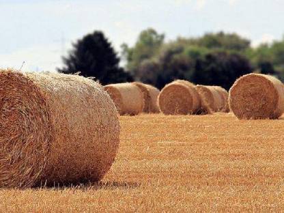 Stroh in Rundballen und Quaderballen