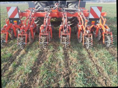 Striptill