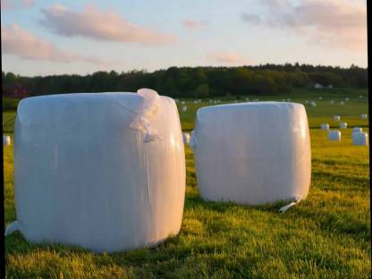 Heulageballen, Silageballen