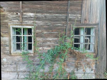 Bild 4:Kastenfenster