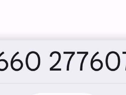 Bild 2:Serama Zwerghähne