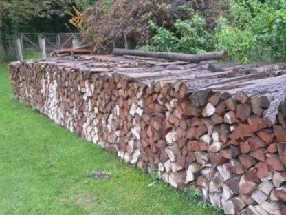 Brennholz