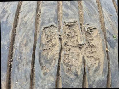 Bild 8:1 Stk. Komplettrad Felge