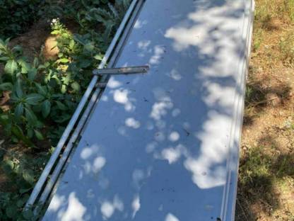 Bild 5:Schweineaufstallung