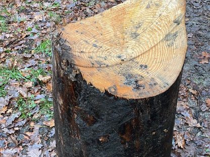 Bild 3:Hacker Holzhäcksler Heizohack 10/400