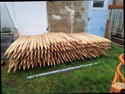 Bild 4:Lärchenstipfel, Stempel, Pflöcke