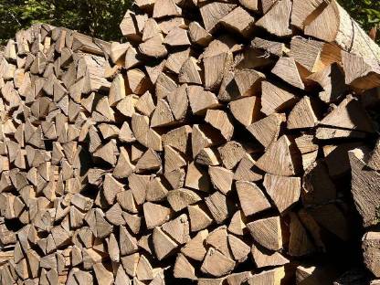 Bild 2:Brennholz