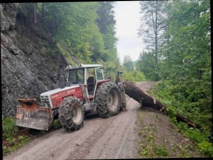 Steyr 8130 SK2