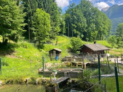 Bild 9:Landwirtschaftliches Grundstück mit Hobbyfischzucht