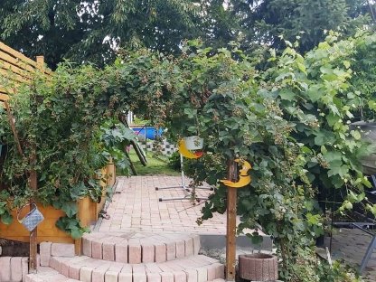 Bild 4:Pflastersteine, Betonziegel