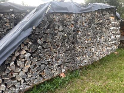 Brennholz Birke