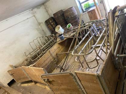 Bild 3:Schweineaufstallung