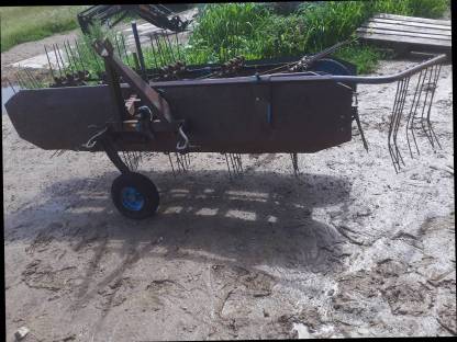 Bild 6:Heu Blitz Vogel und Noot