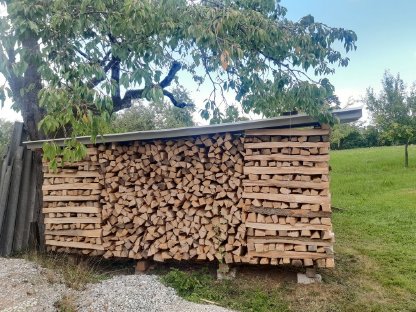 Brennholz Esche