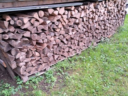 Bild 3:Buchen Brennholz