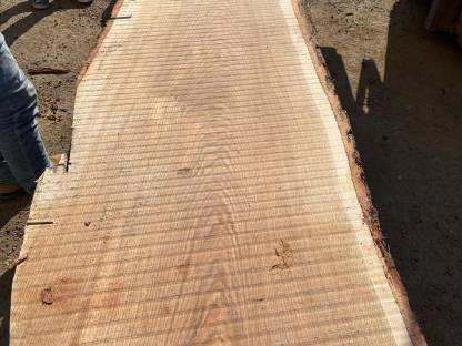 Bild 4:Eichenpfosten