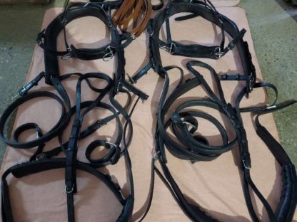 Bild 2:Verkaufe schönes Zweispänner-Geschirr