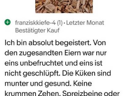 Bild 4:Bunte Eier Bruteier Grünleger Blauleger Olivleger Maran