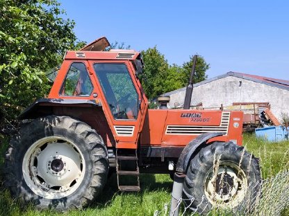 Bild 4:FIAT 1280 Allradschlepper, Bj. 1983, erst 3.300 Bstd., VB