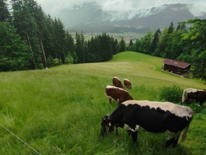 Landwirtschaft gesucht – Pacht, Kauf, Leibrente
