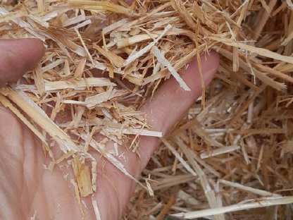 Bild 7:Stroh Gemulcht