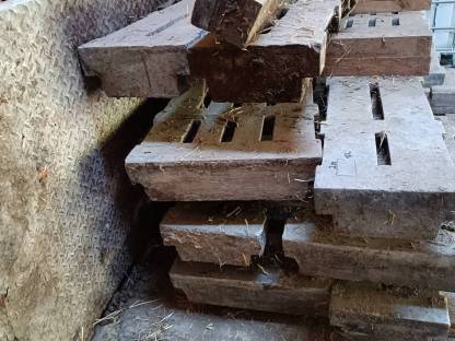 Bild 2:Rinderspalten