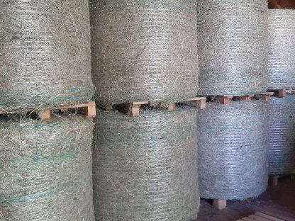 Bild 2:Heuballen, 2025