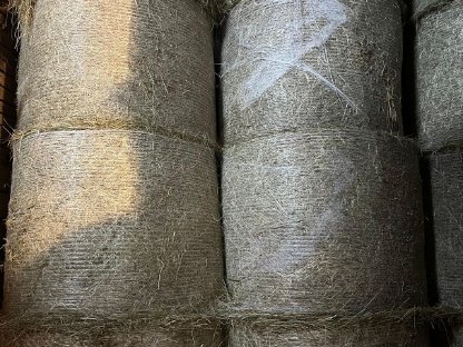 Bild 2:Heu Rundballen 1. Schnitt 2025