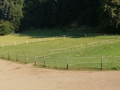 Bild 4:Pferdeeinstellplätze