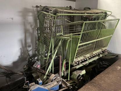 Bild 2:Sellerie Vollernter Stoll