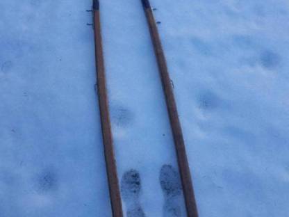 Bild 5:Linzer Wagerl, Spider-Kutsche, Dressurwagen - Noriker Haflin