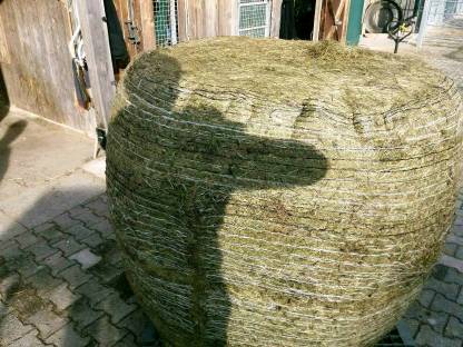 Bild 2:Silo Gärheu Heulage Rundballen