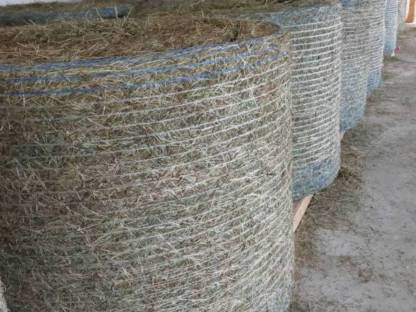 Bild 2:Rundballen und Kleinballen mit Warmluft belüftet