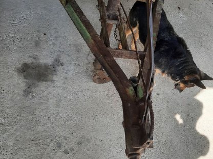 Bild 5:Traktoranhänger