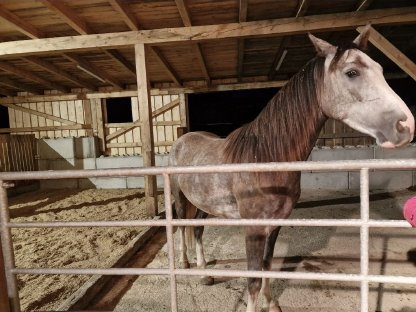 Bild 3:Einstellplätze zu vergeben