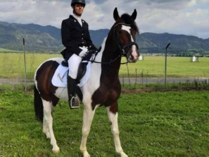 Bild 4:Mr. RONALDO, geb. 2016 und 1,60 m groß